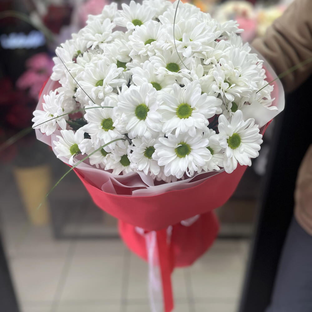 Ромашки