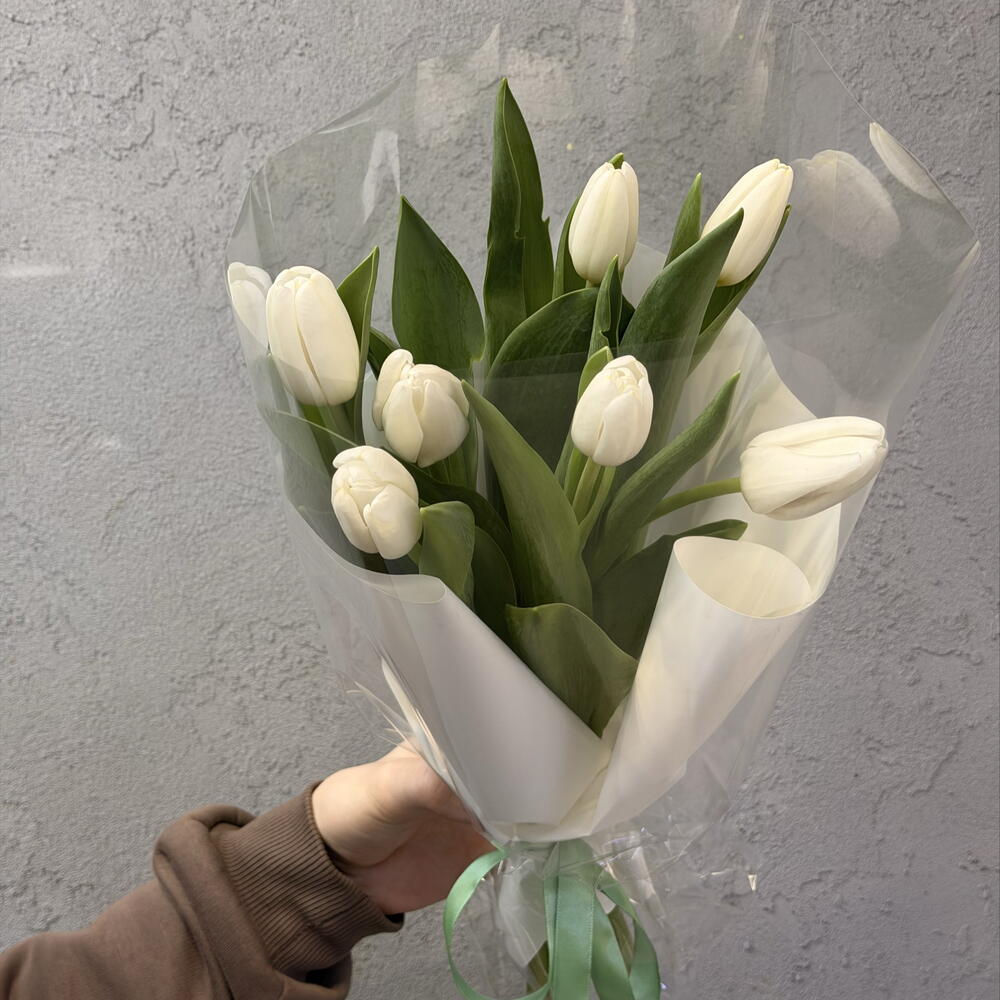 Тюльпаны 🌷