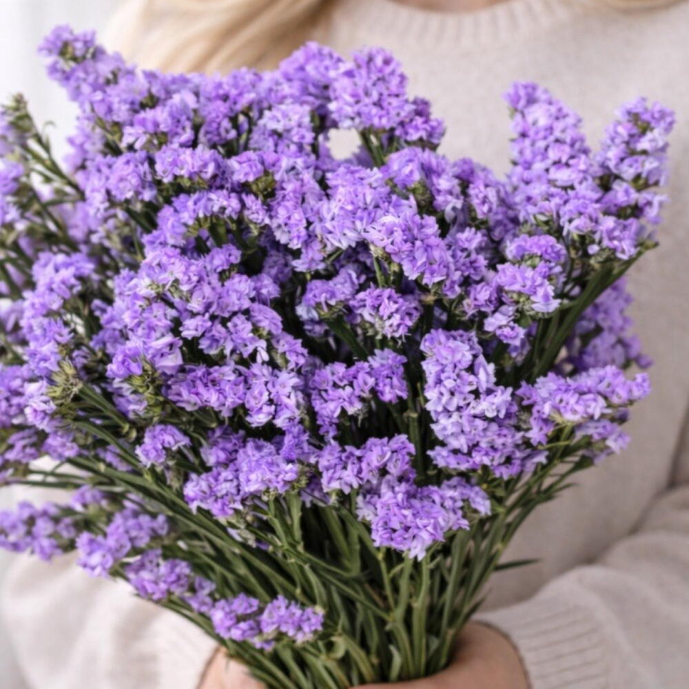 Букет «Статица»💜