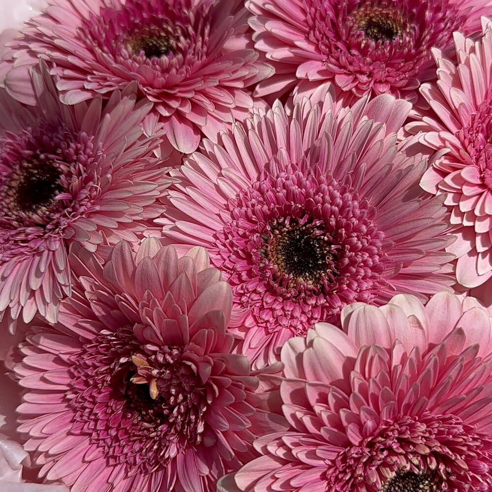 Bouquet 136