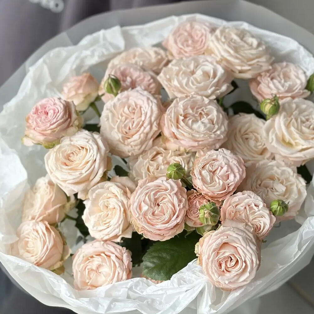 Моно букет из 7 кустовых роз Бомбастик
