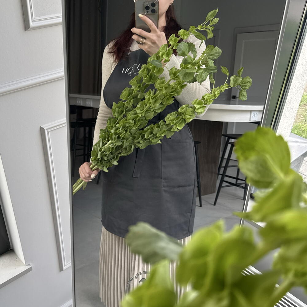 Молюцелла