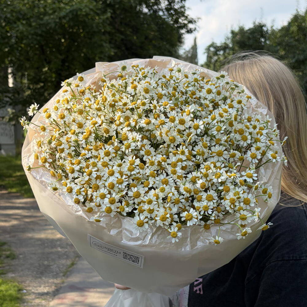 Букет поле ромашек