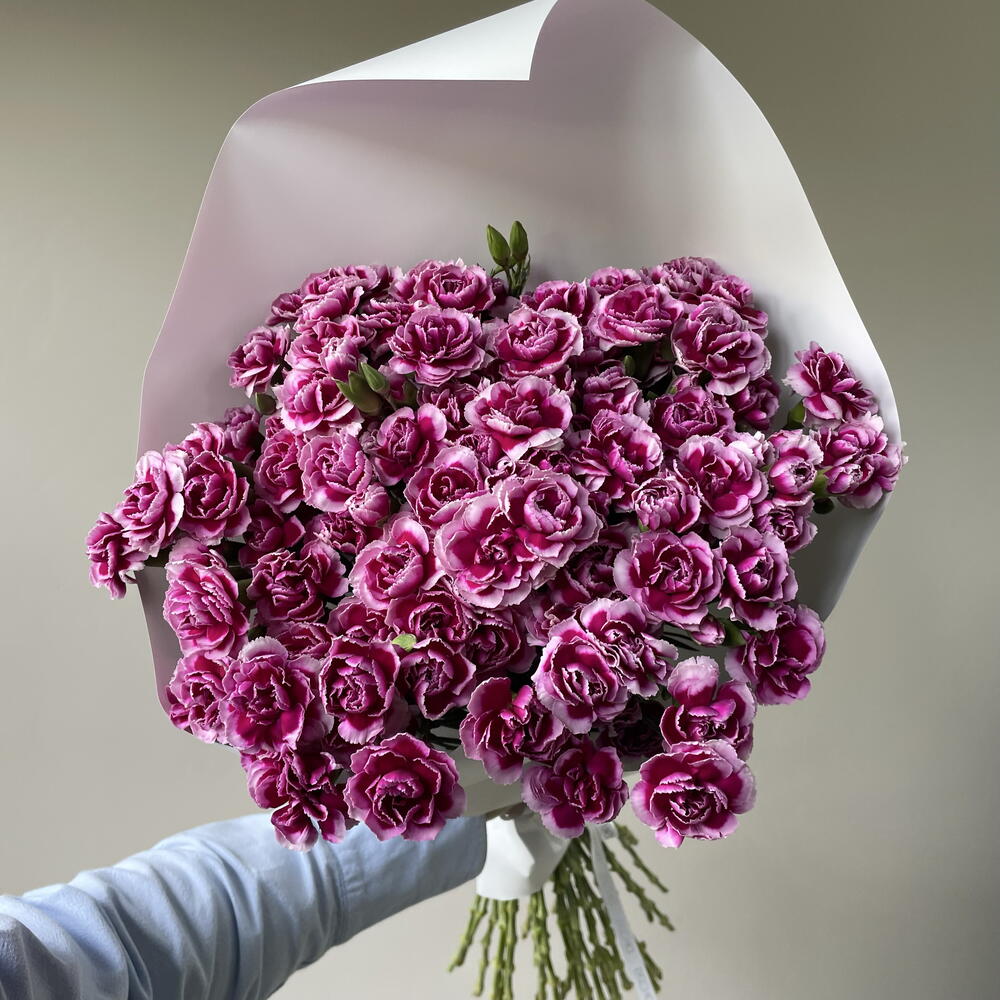 39 кустовых диантусов