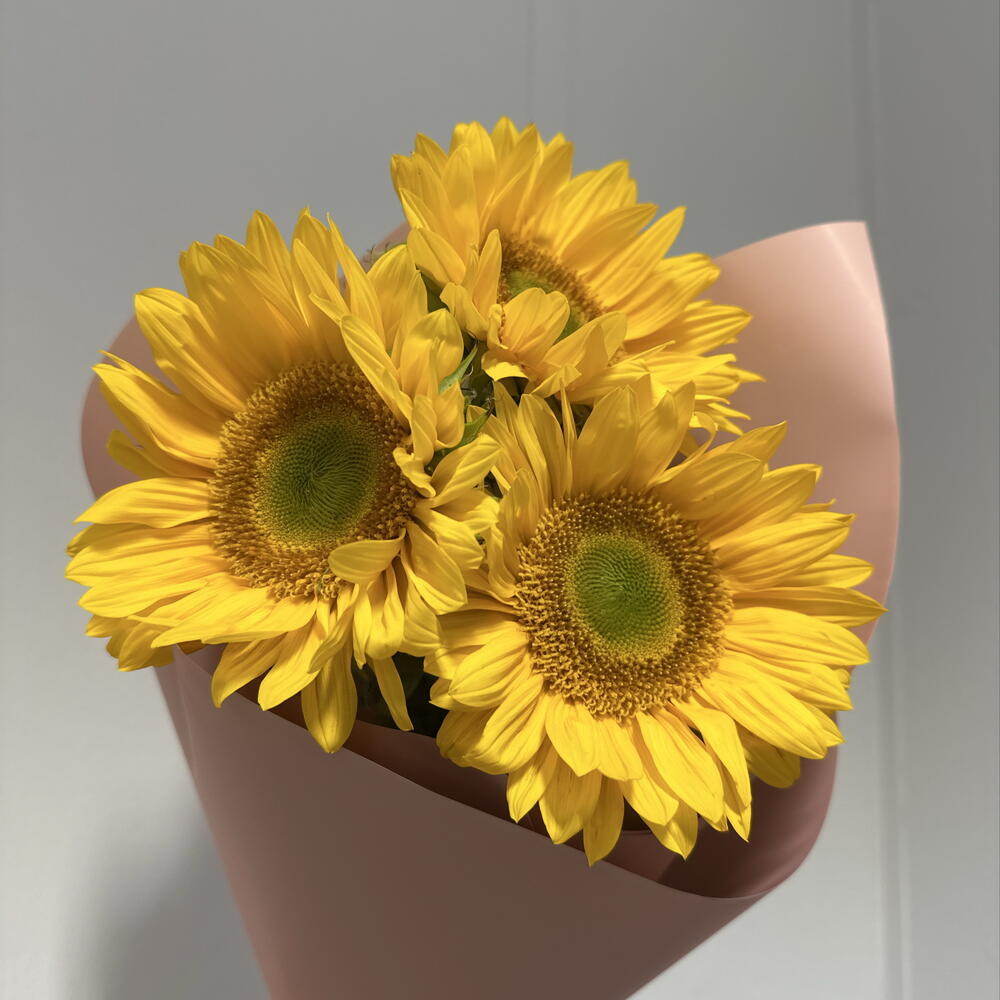 Букетик подсолнухов 🌻