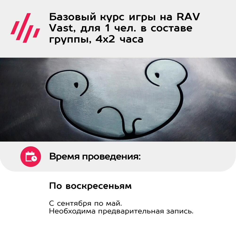 Подарочный сертификат Базовый курс игры на RAV Vast, для 1 чел. в составе группы, 4х2 часа