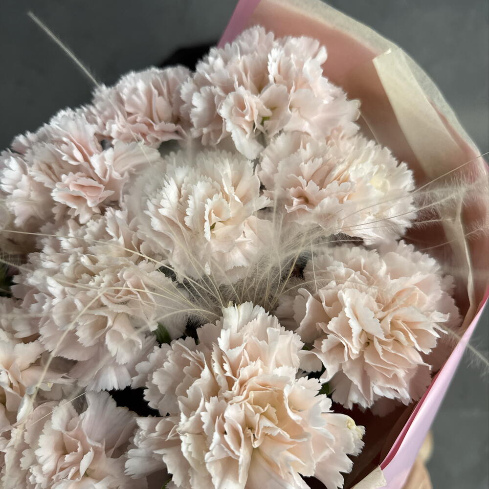Нежные диантусы💘