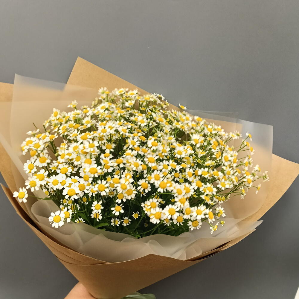 Ромашки 15 шт💐