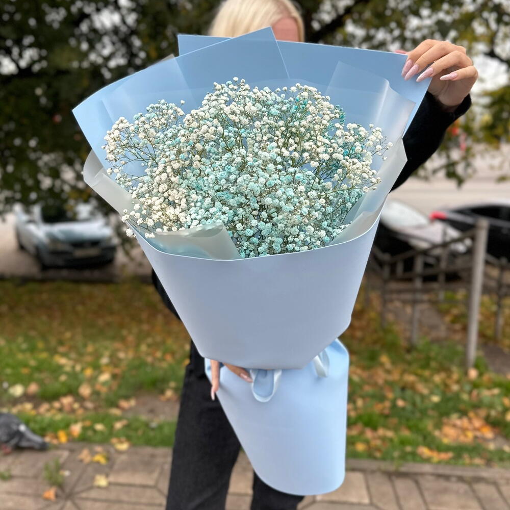 Голубые гипсофилы 🩵