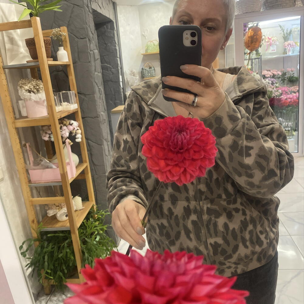 Георгин 🌸