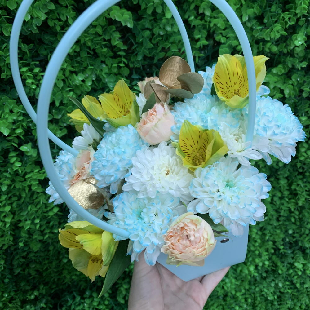 Сумочка небо