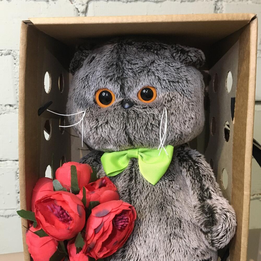 Кот Басик Джентельмен