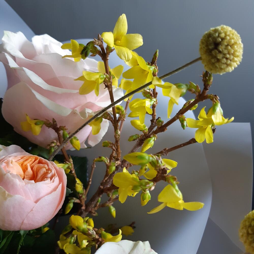 Yellow moment