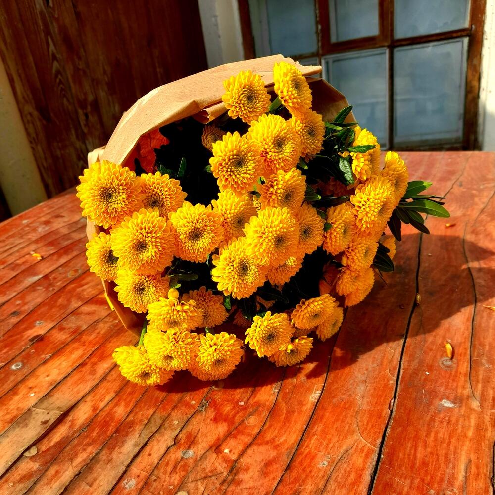 Солнце