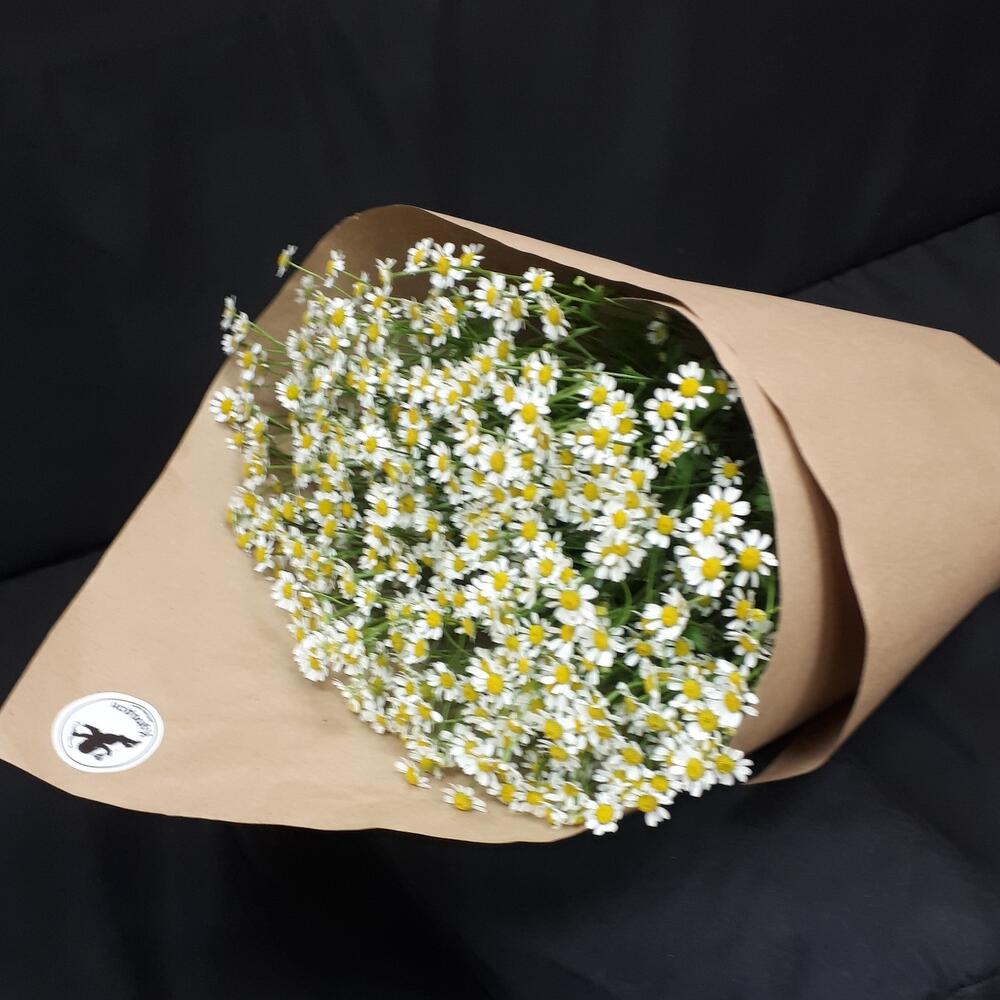 Букет из ромашек
