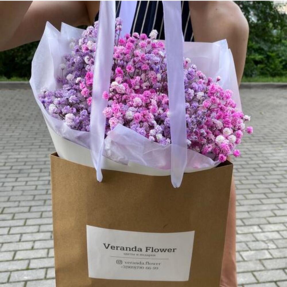 Gypsophila 💕