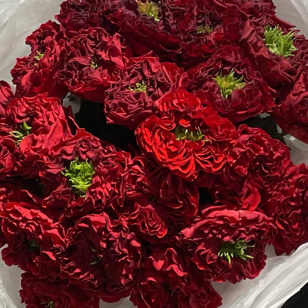 Букет "Rose"
