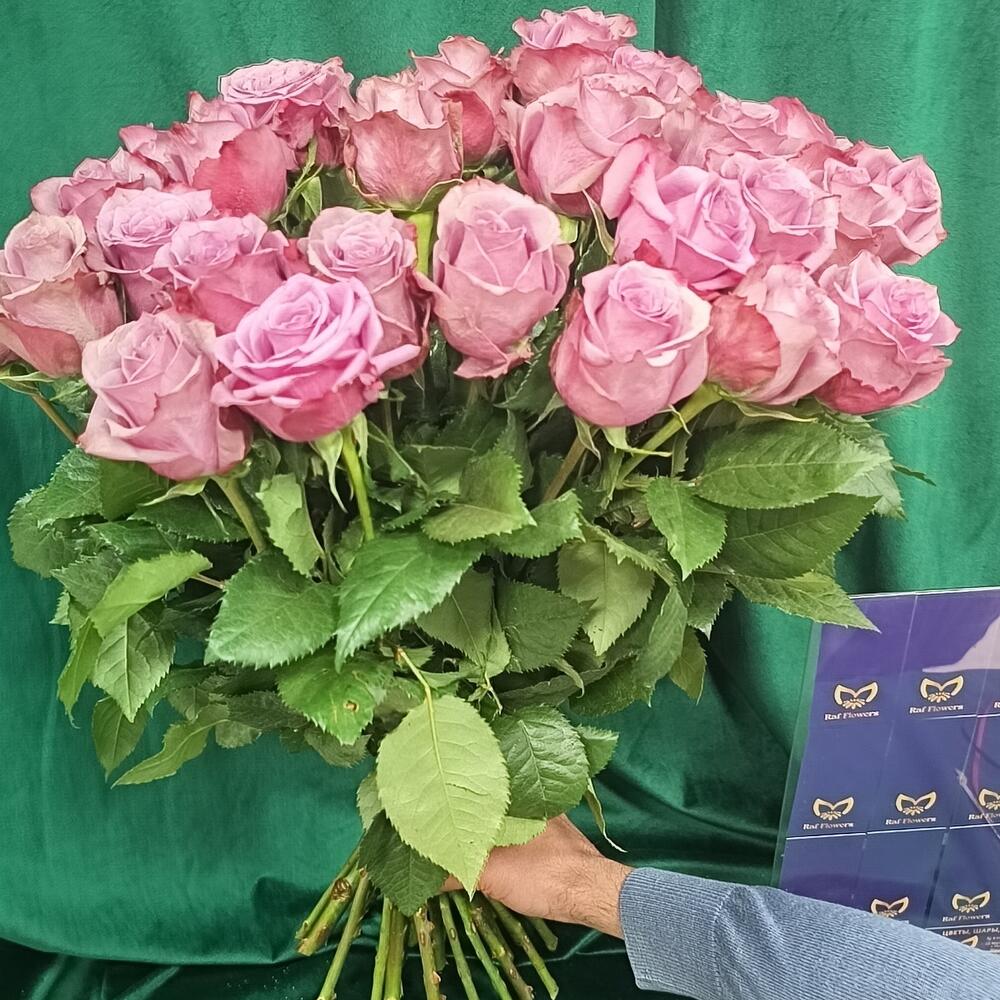 Роза кен