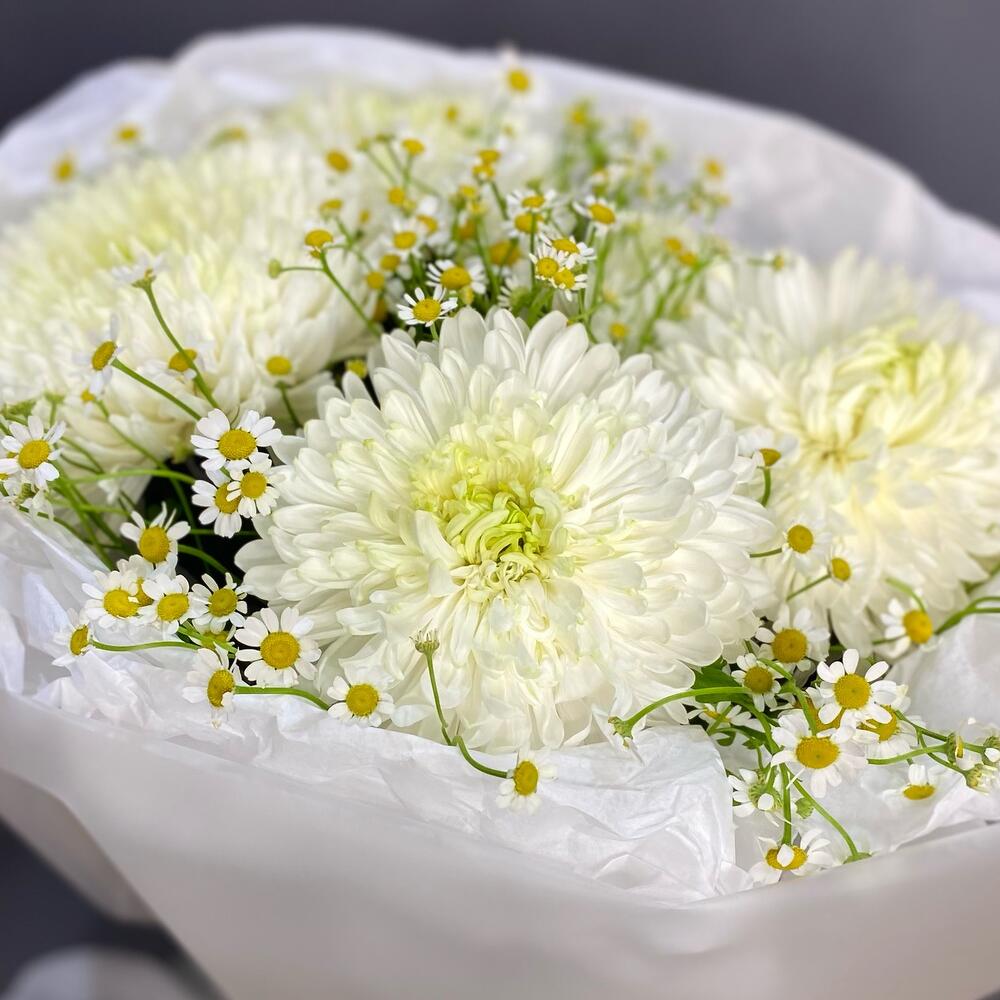 Danza blanca