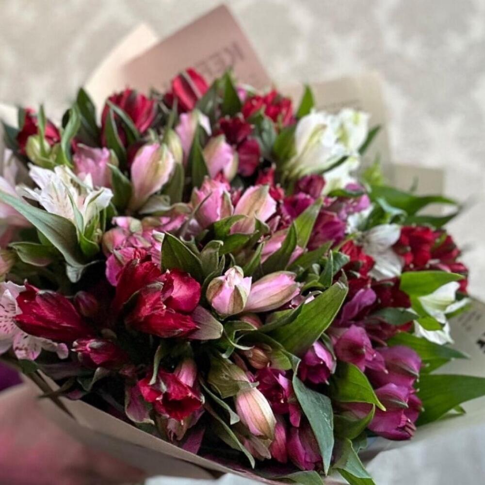 Alstroemeria
