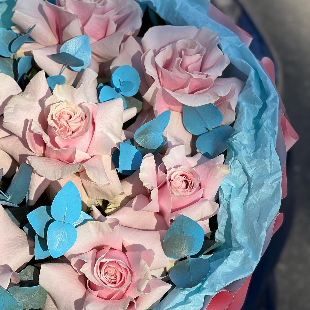 Roses