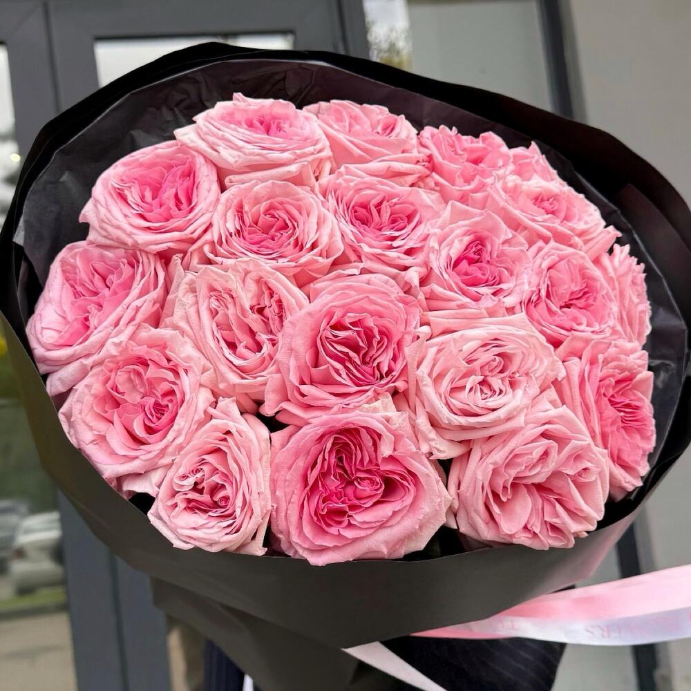 19 пионовидных садовых роз Pink O Hara "Ароматы Франции"