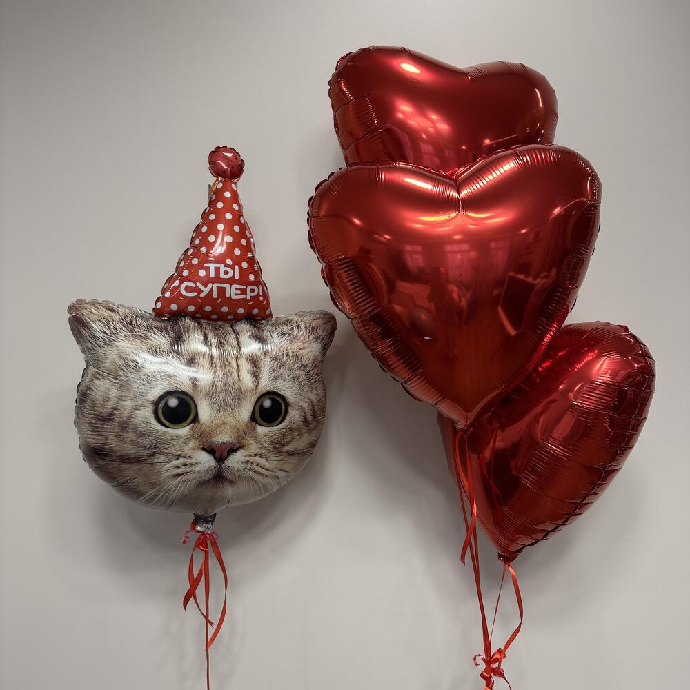 Набор шаров с котом, 4 шара