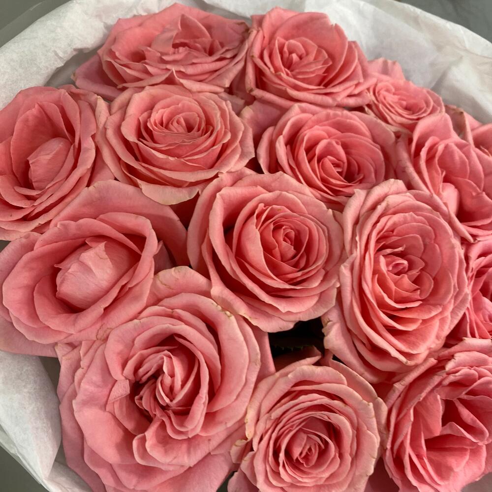 Моно из 15 роз Софи Лорен😍💕