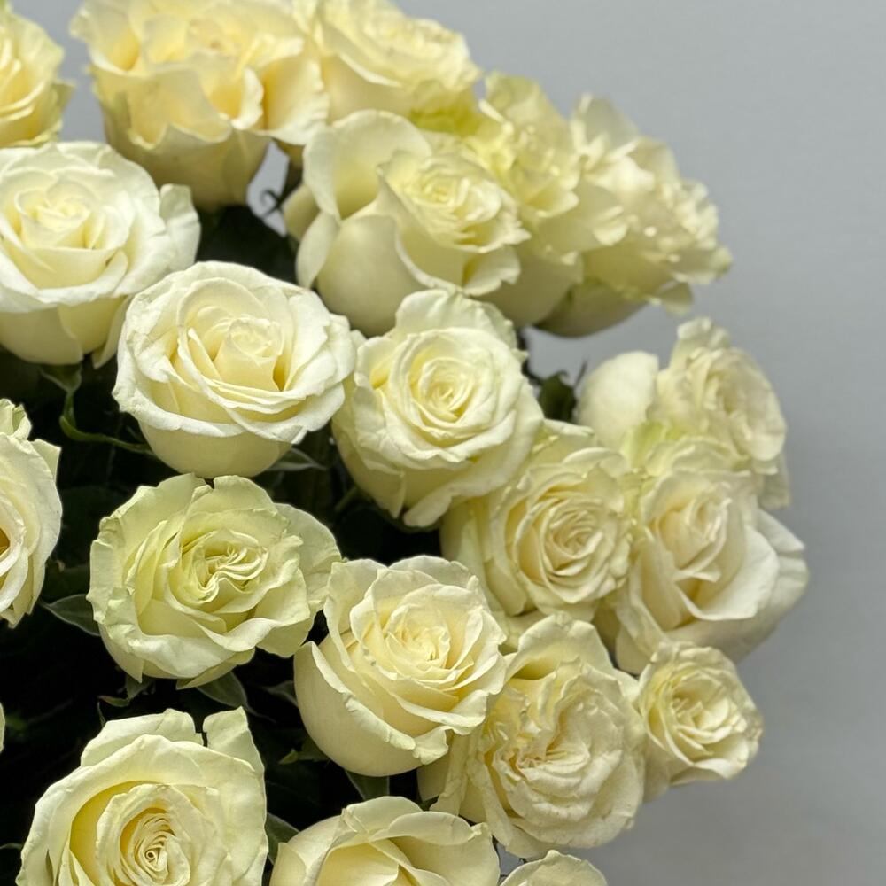 Bouquet of 25 Mondial roses