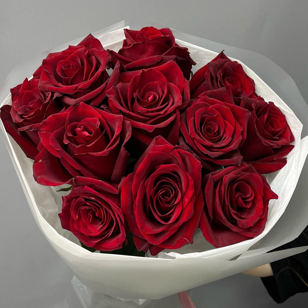 Красные розы 🌹 в упаковке с лентой ( 11 красных роз )