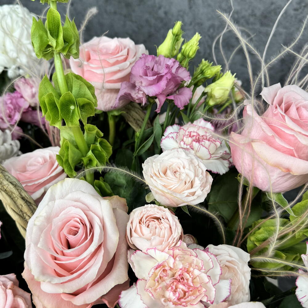 BlancRose