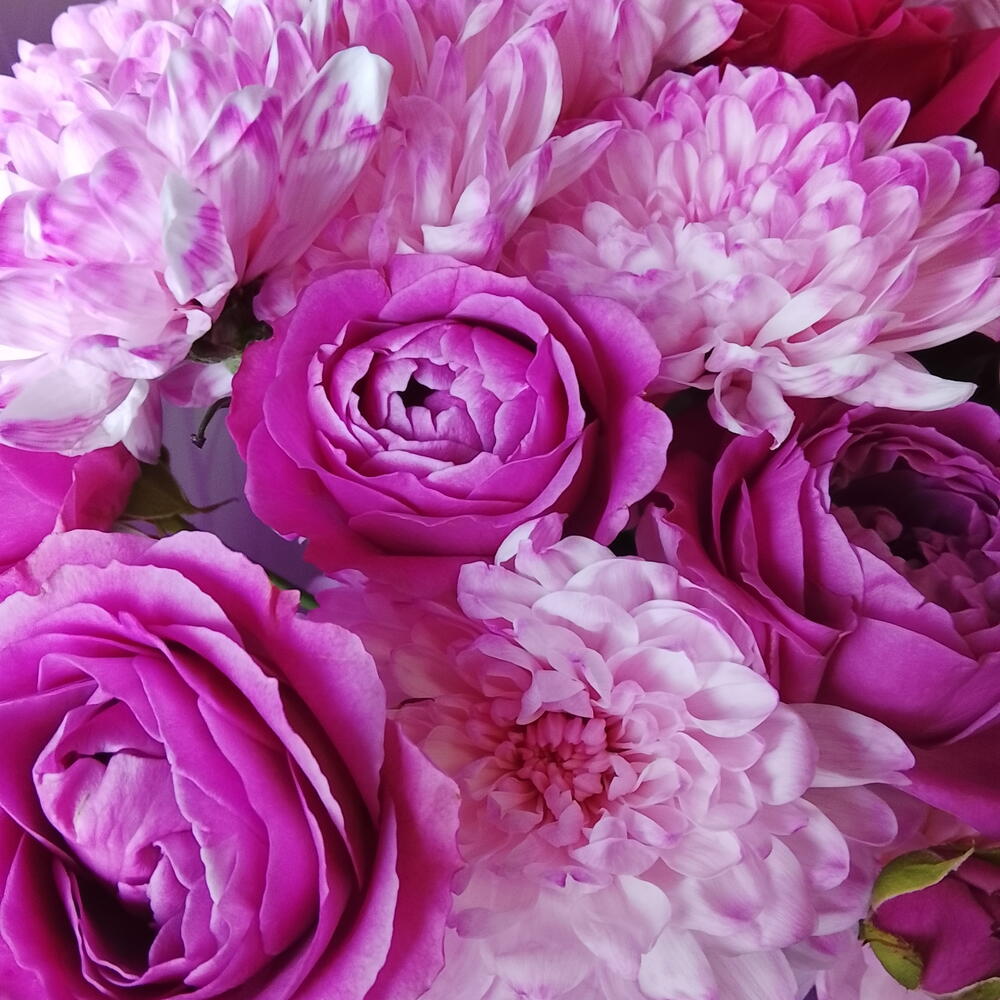 💗 Хризантемы с прекрасными  розами