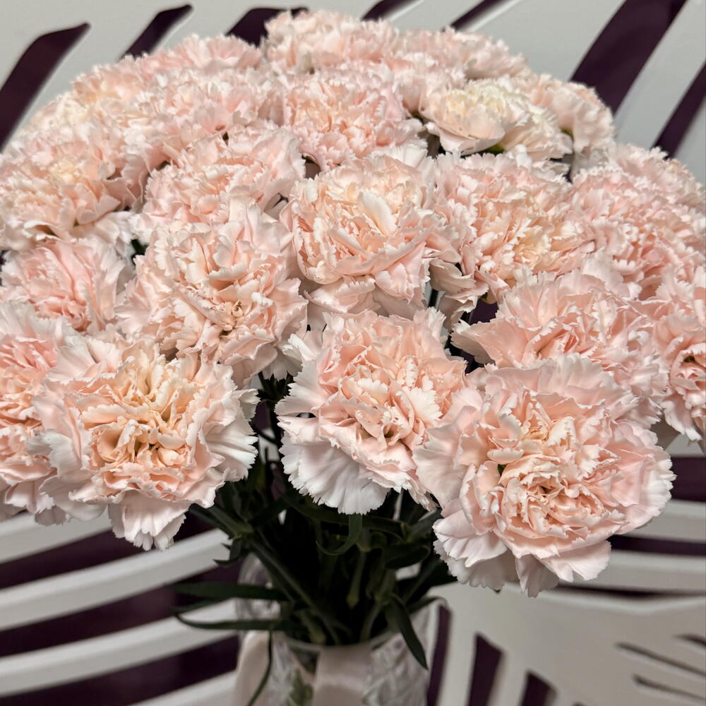 Букет🌸»Розовый блик» из диантуса