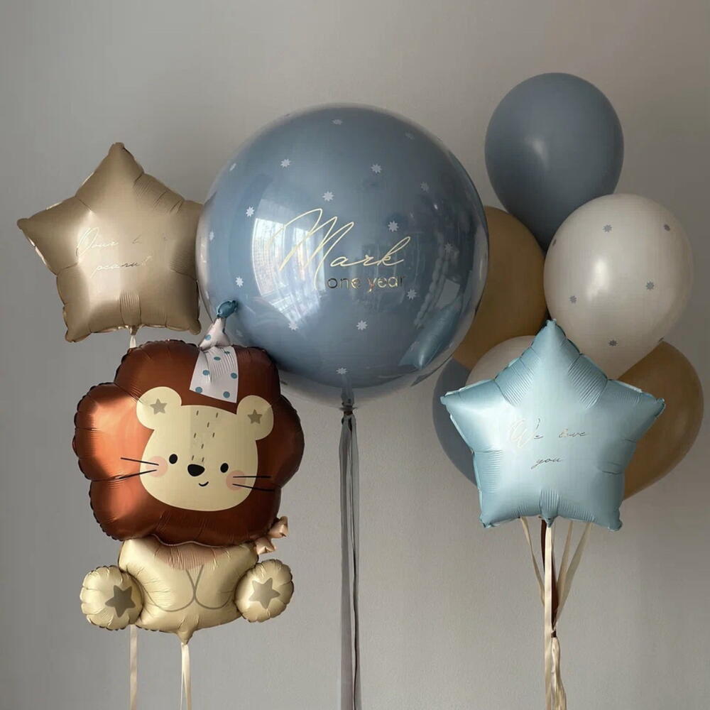 Шарики на выписку мальчика