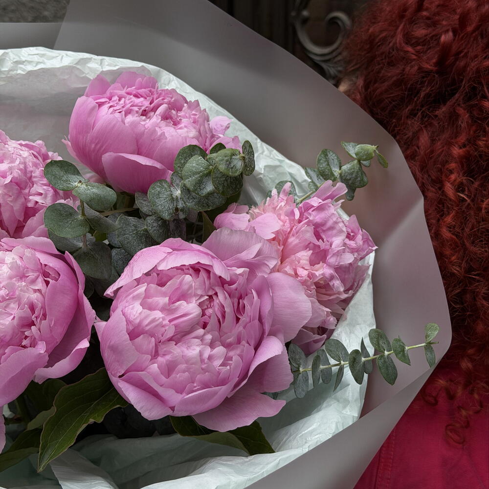 Pink Peonies (5)