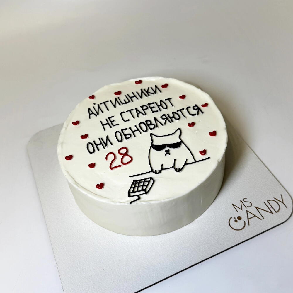 Торт "Айтишнику", вес 720г, на день рождения, парню, любимому, мужчине, девушке, подруге, другу, коллеге