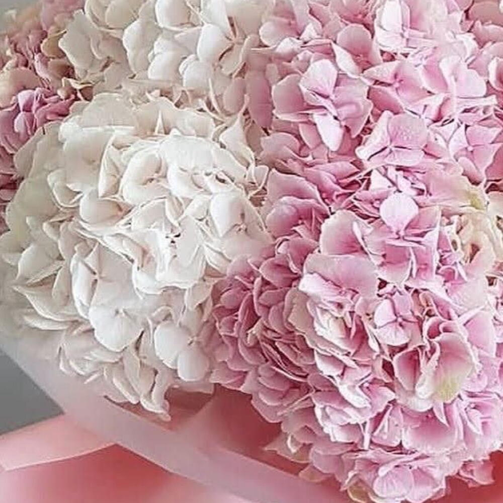 Нежный букет💗