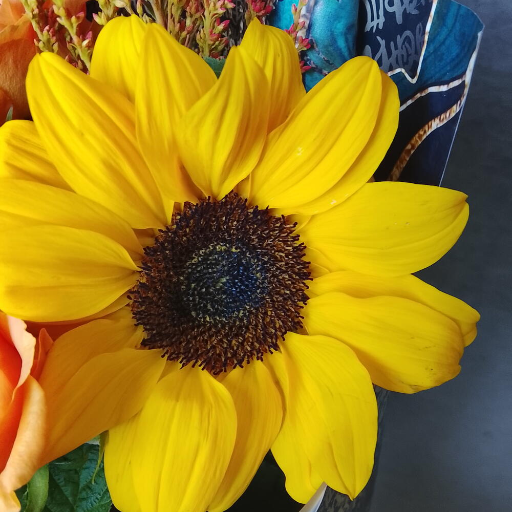Подсолнух с розами🧡