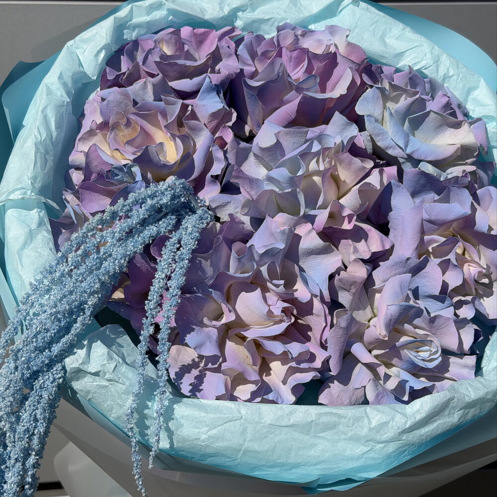 Разноцветная Роза