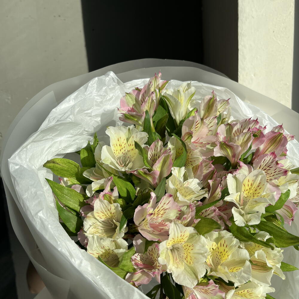 Букет моно альстромерия