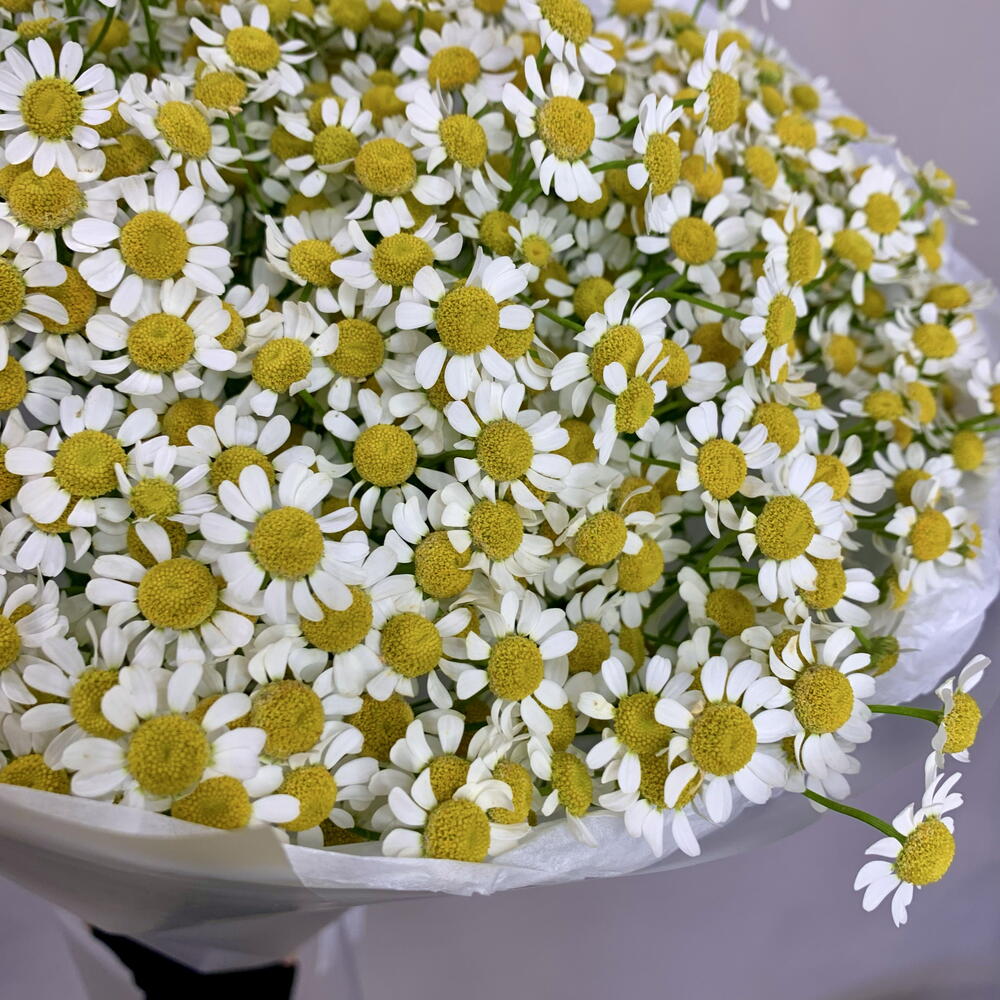 Букет с ромашками
