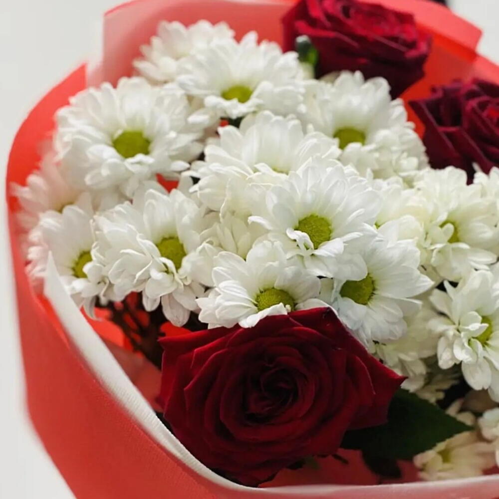 Ромашки и розы🌹