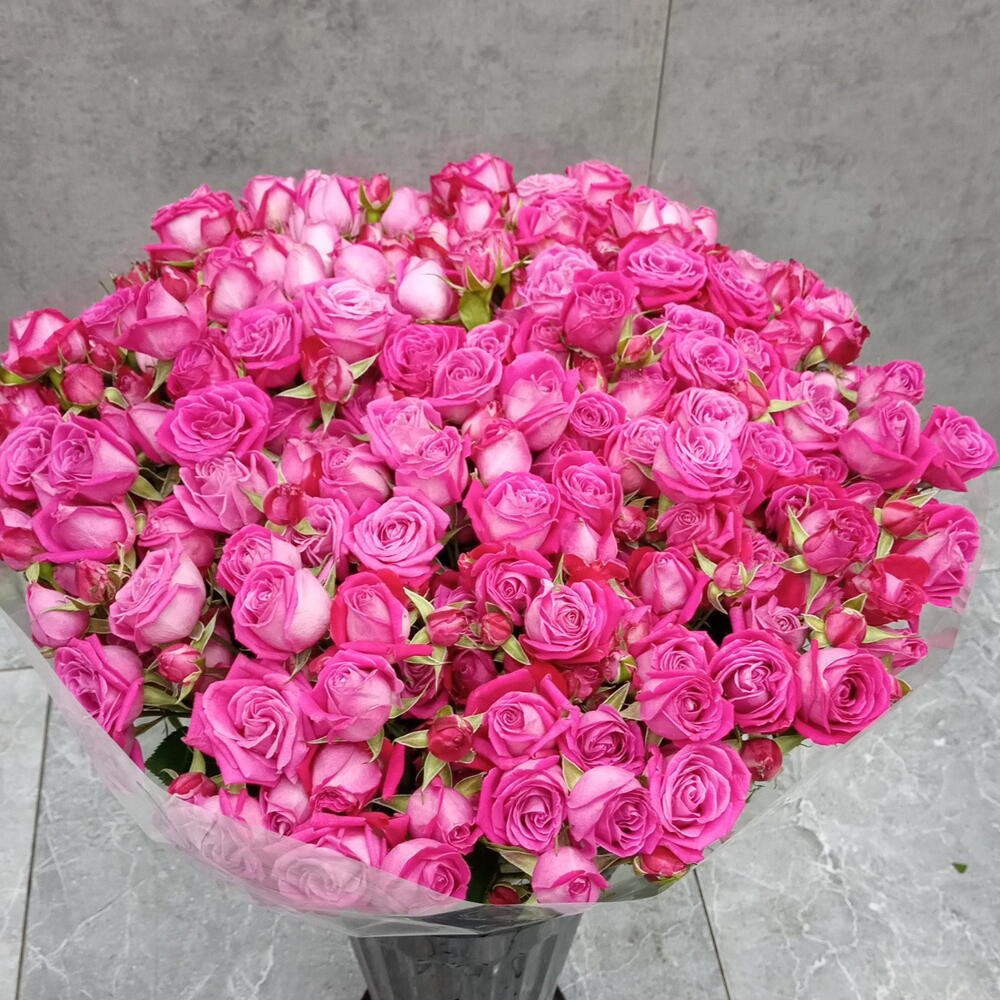 Мини пиончик и 51