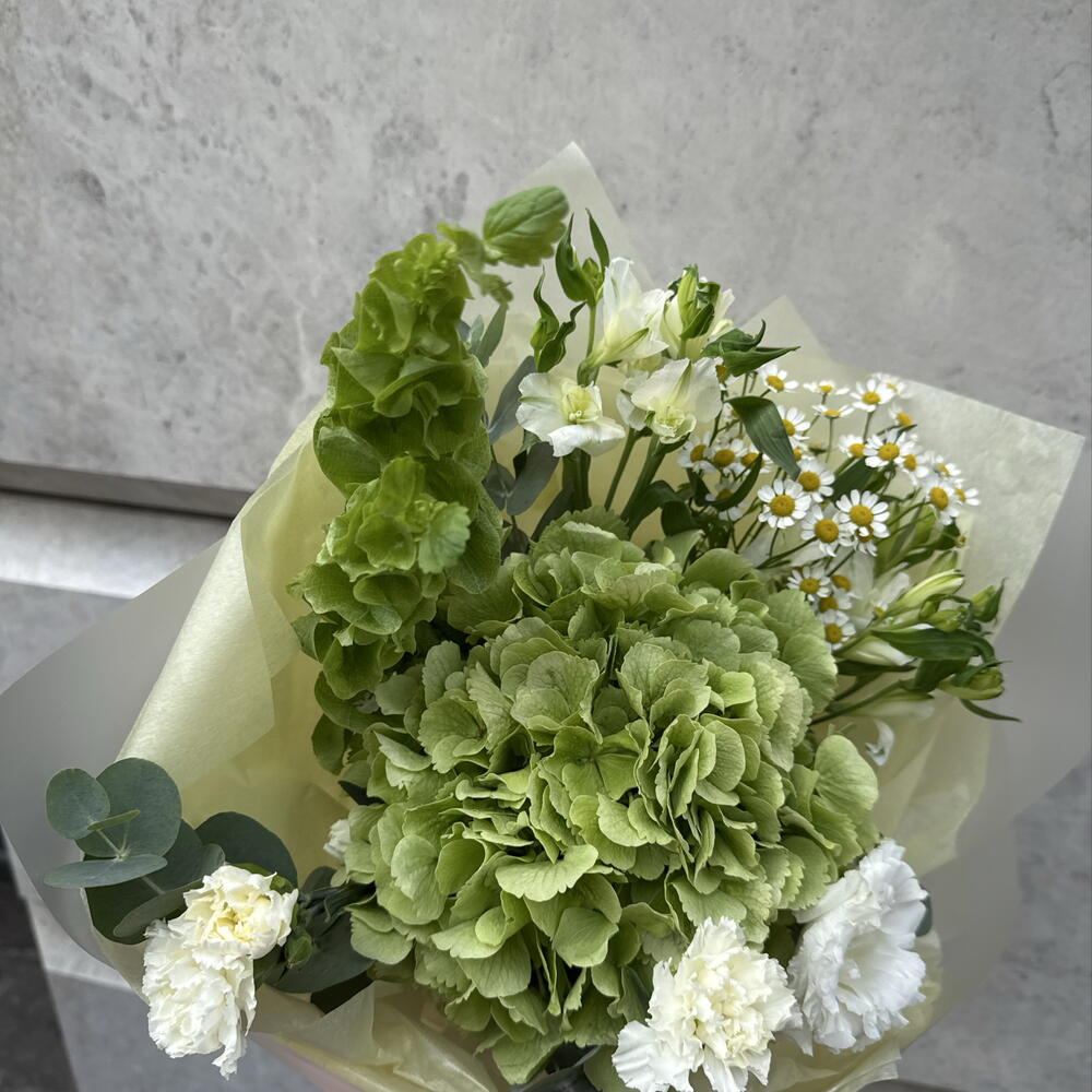 Букет с гортензией и молюцеллой — нежный объёмный букет в подарок 💐