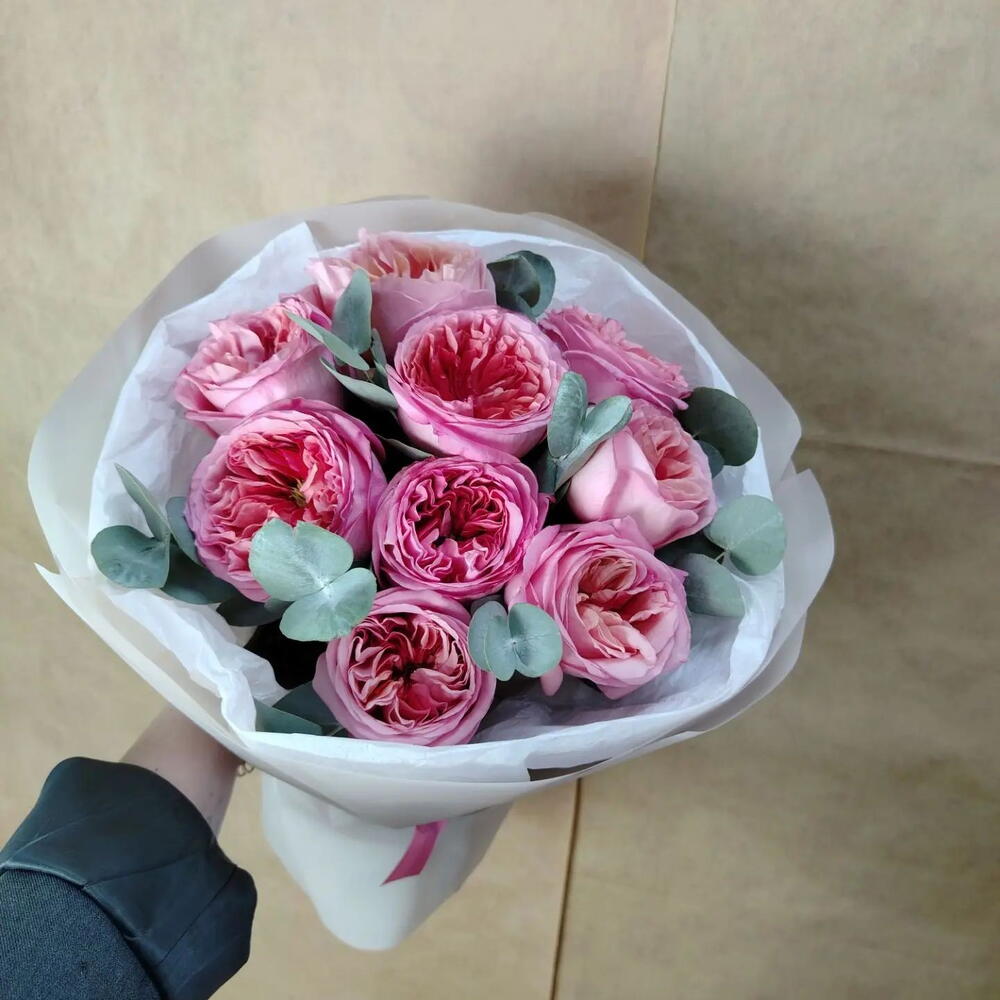Пинк Экспрешен/Эвкалипт