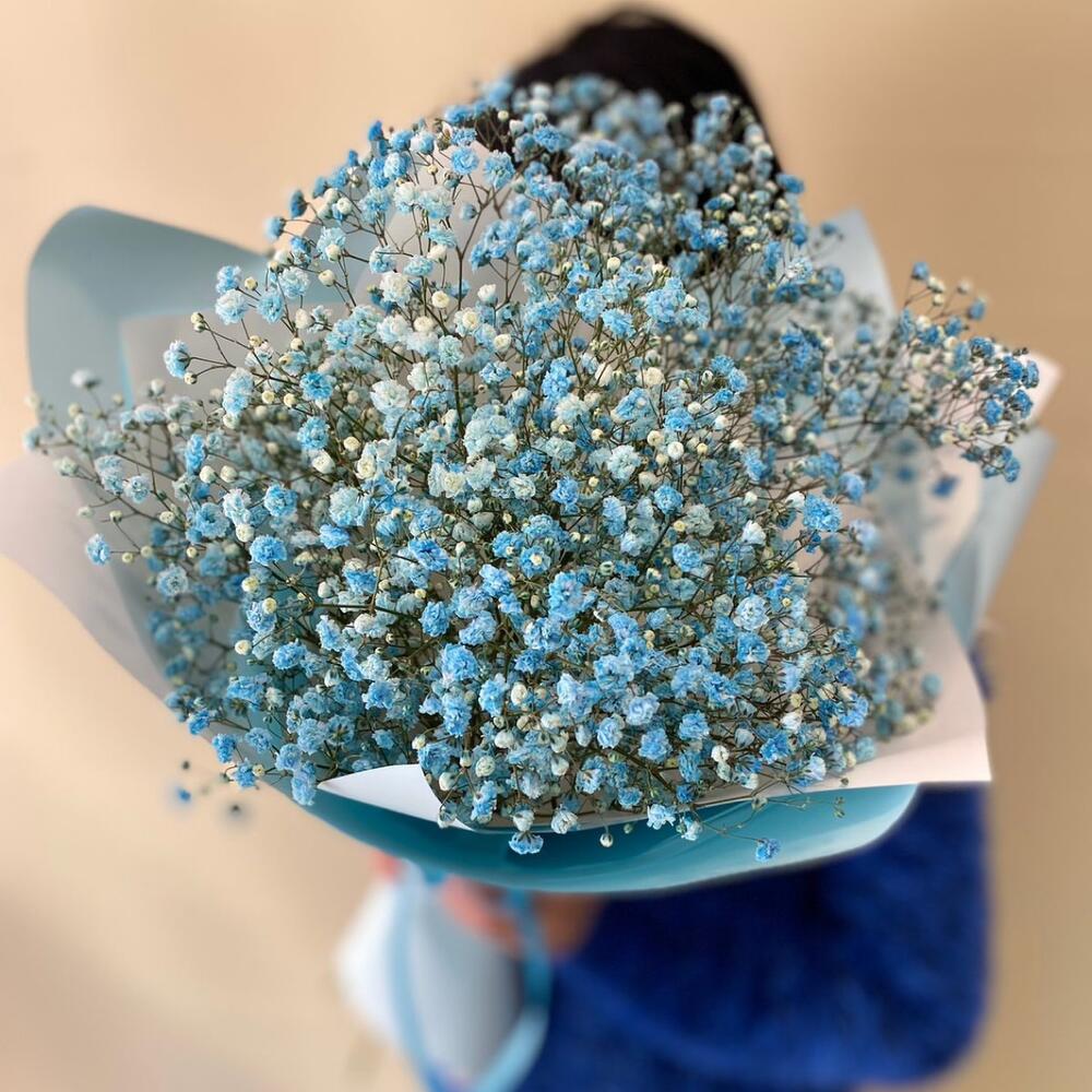 Gypsophila azul en paquete