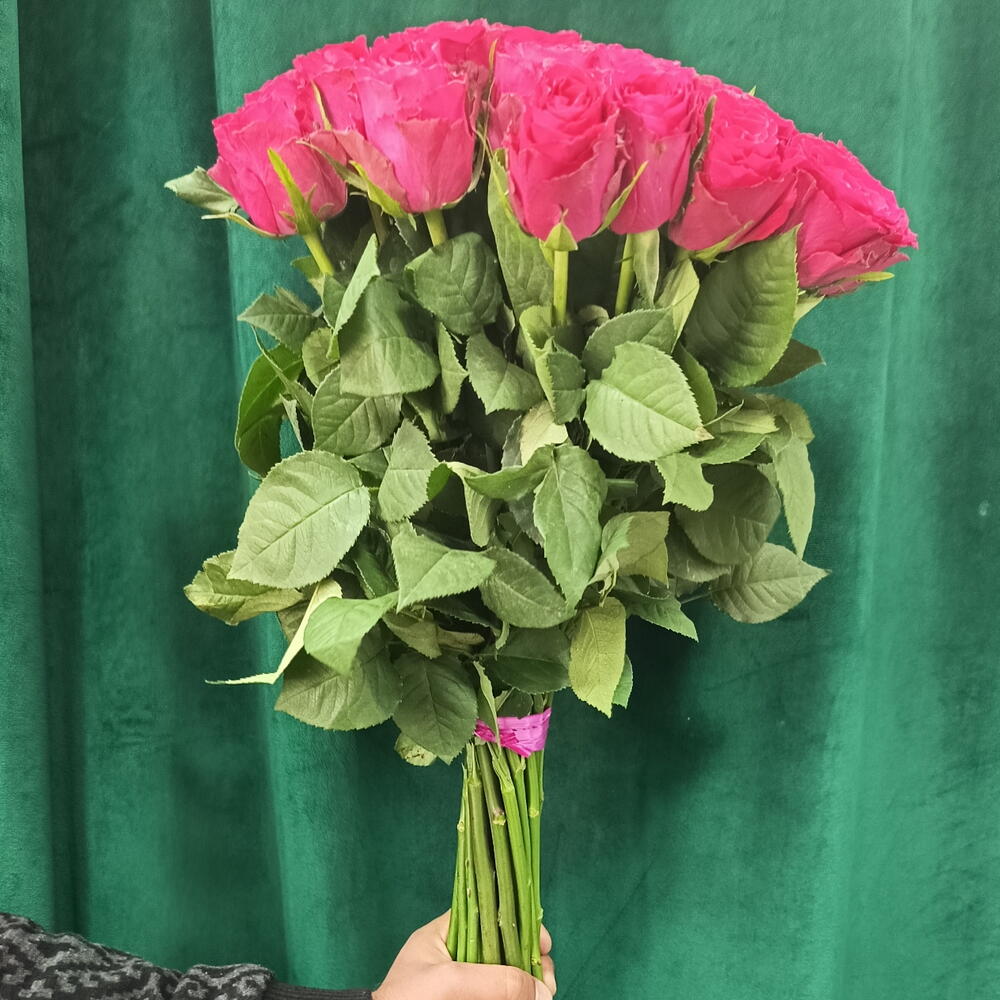 Роза 🌹