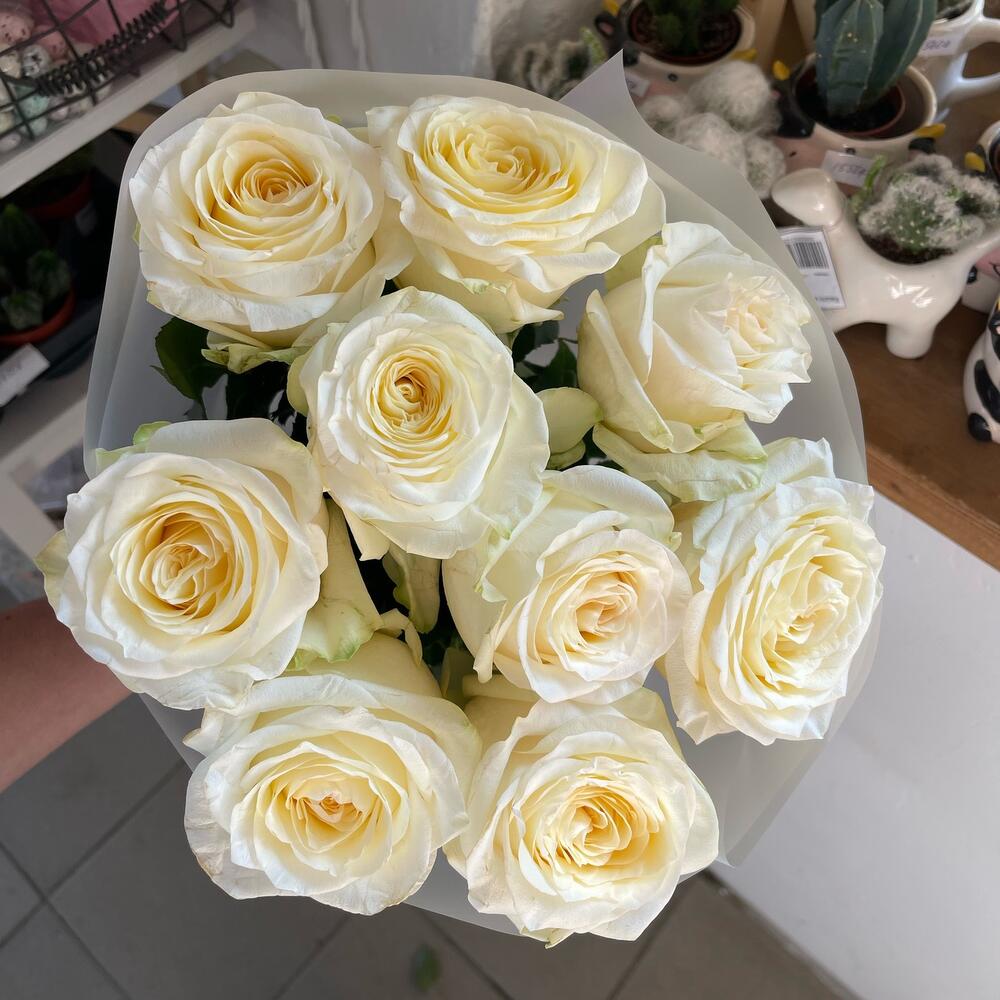 9 пионовидных роз💐
