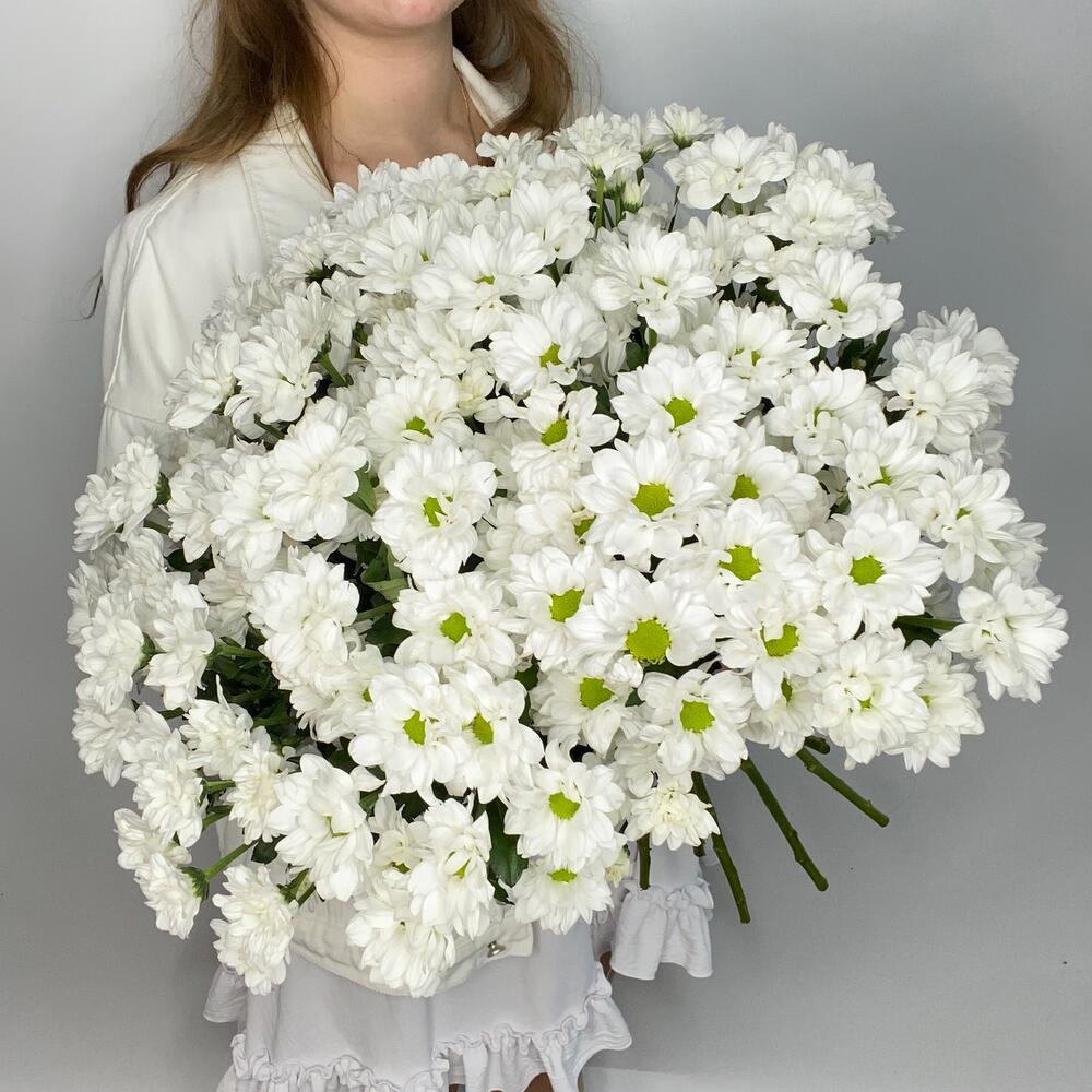Хризантемы кустовые