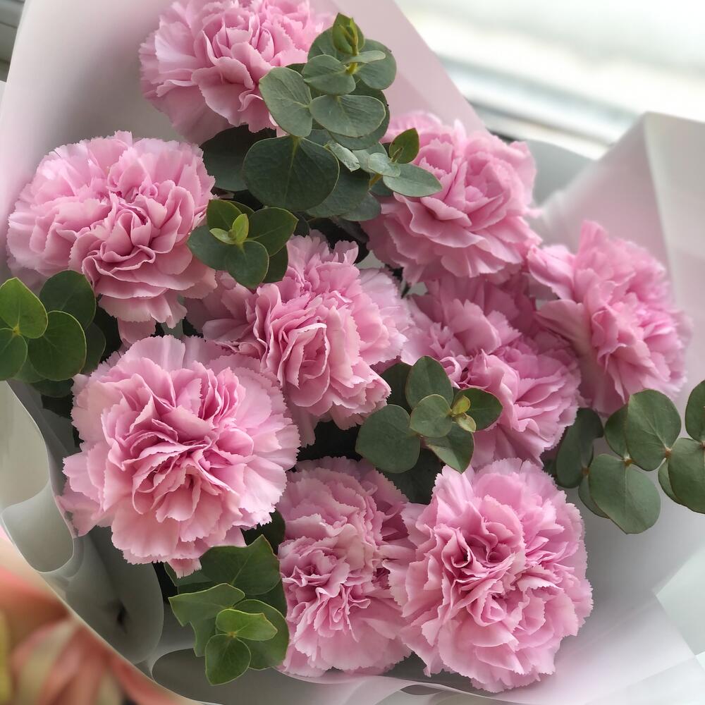 Версаль 🌸